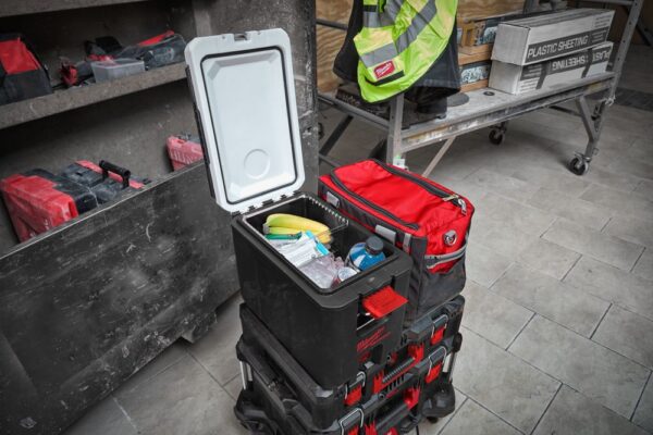 Šaltkrepšis PACKOUT 15L