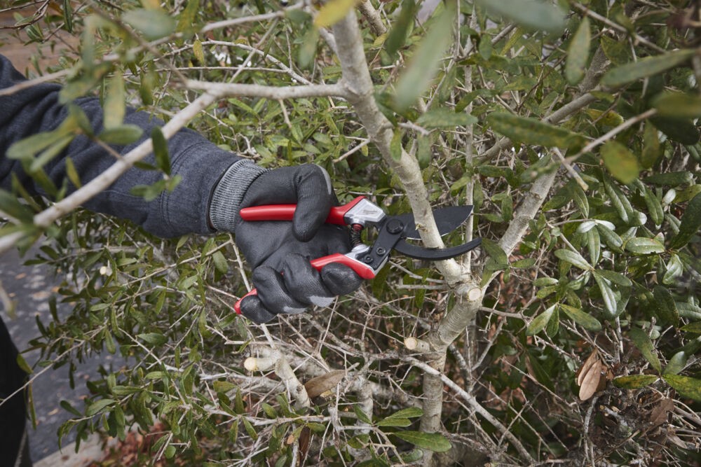 Sekatorius prasilenkiančiais ašmenimis 25mm - Image 5