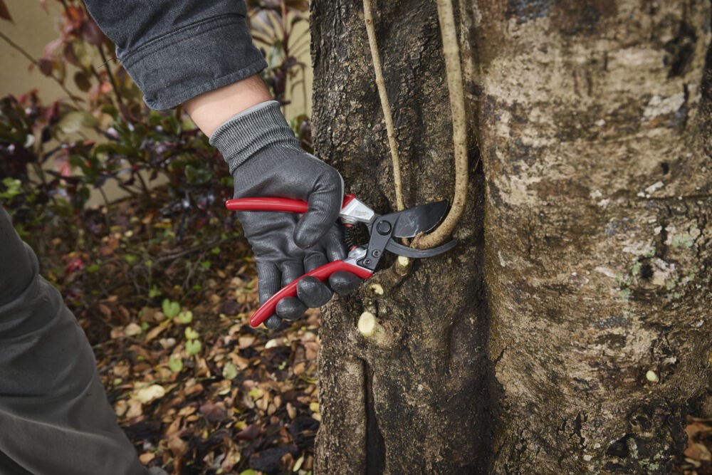 Sekatorius prasilenkiančiais ašmenimis 25mm - Image 8