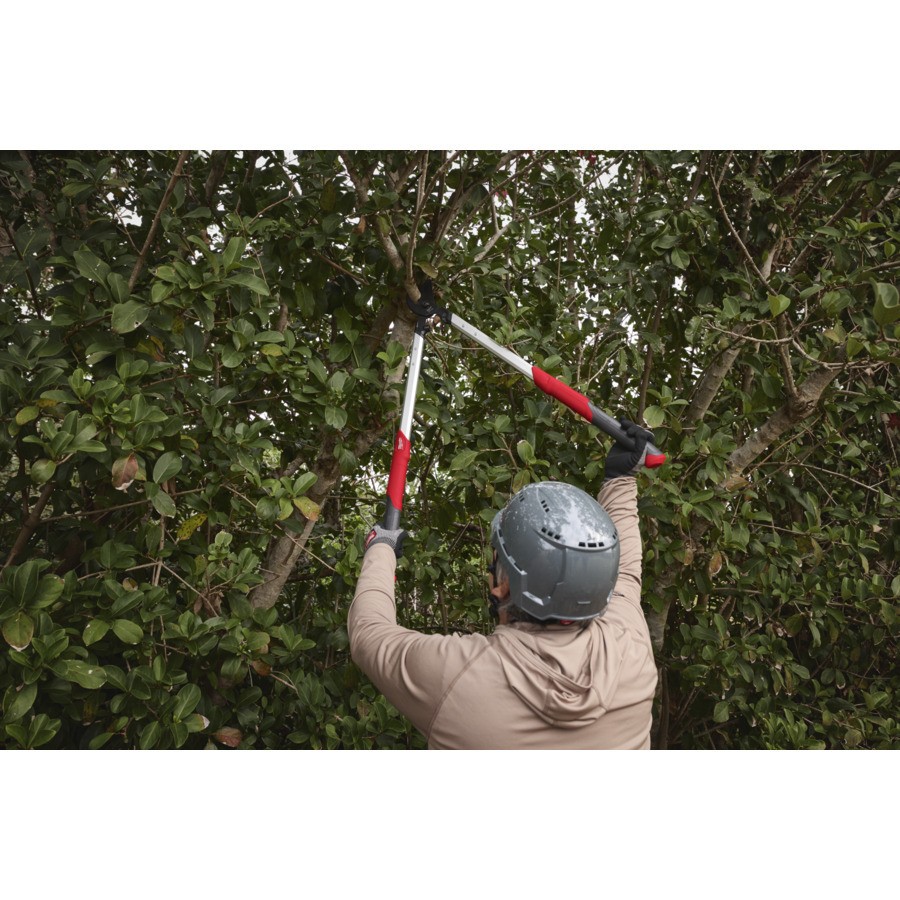 Sodo žirklės prasilenkiančiais ašmenimis 50mm - Image 7