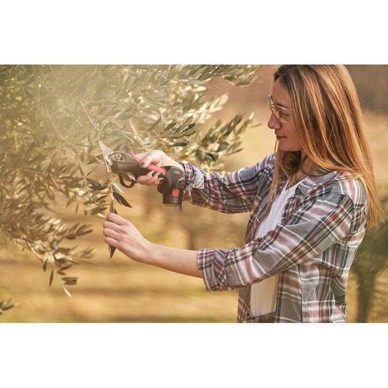 Blue Bird PS 23-28C FASTER akumuliatorinis sekatorius