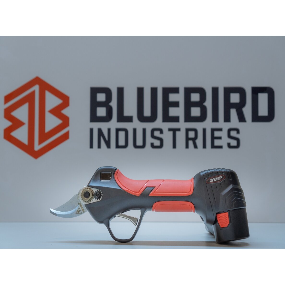 Blue Bird PS 23-25F akumuliatorinis sekatorius - Image 5