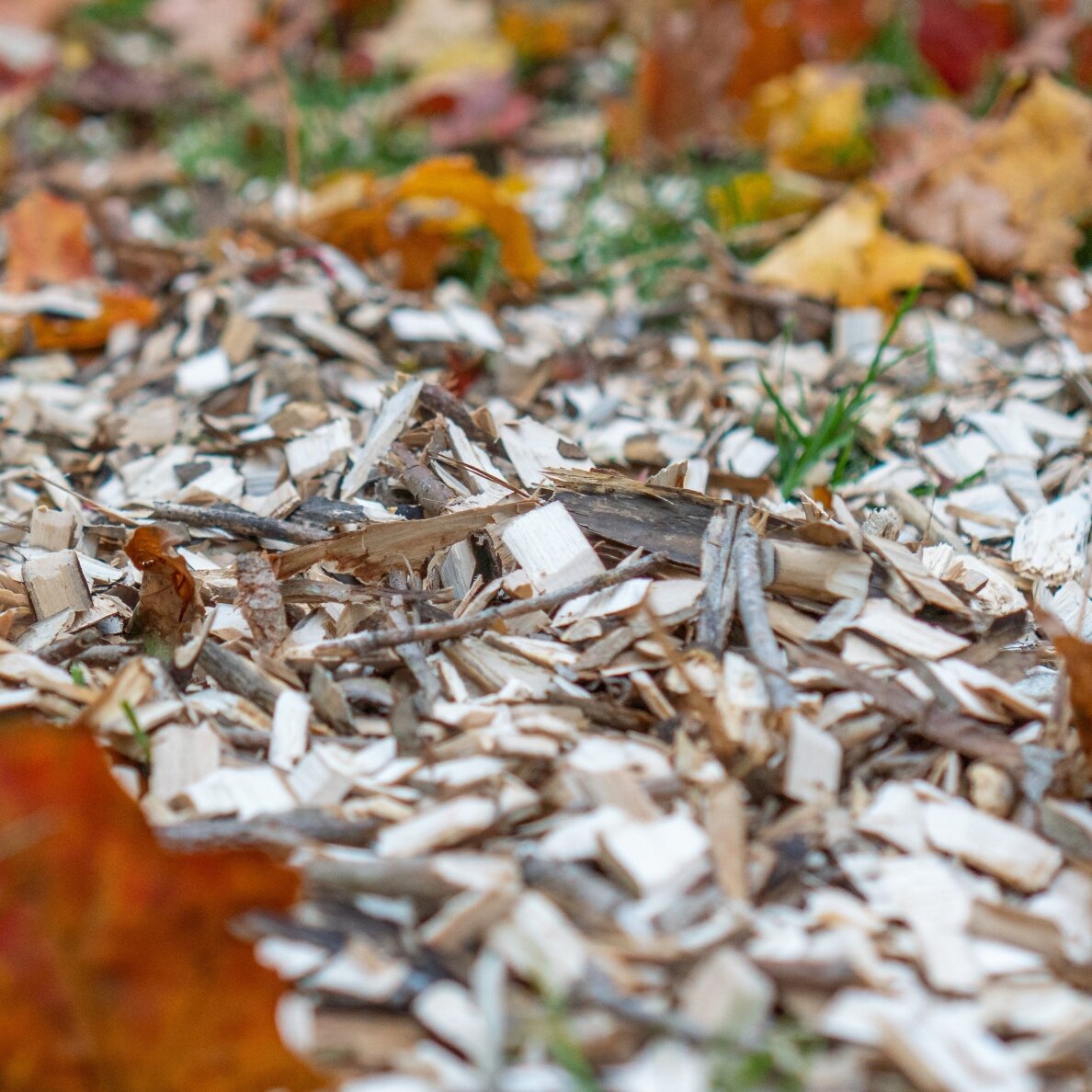 Blue Bird šakų smulkintuvas SHL 1500