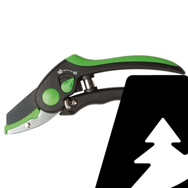 FREUND VICTORIA sekatorius 3290