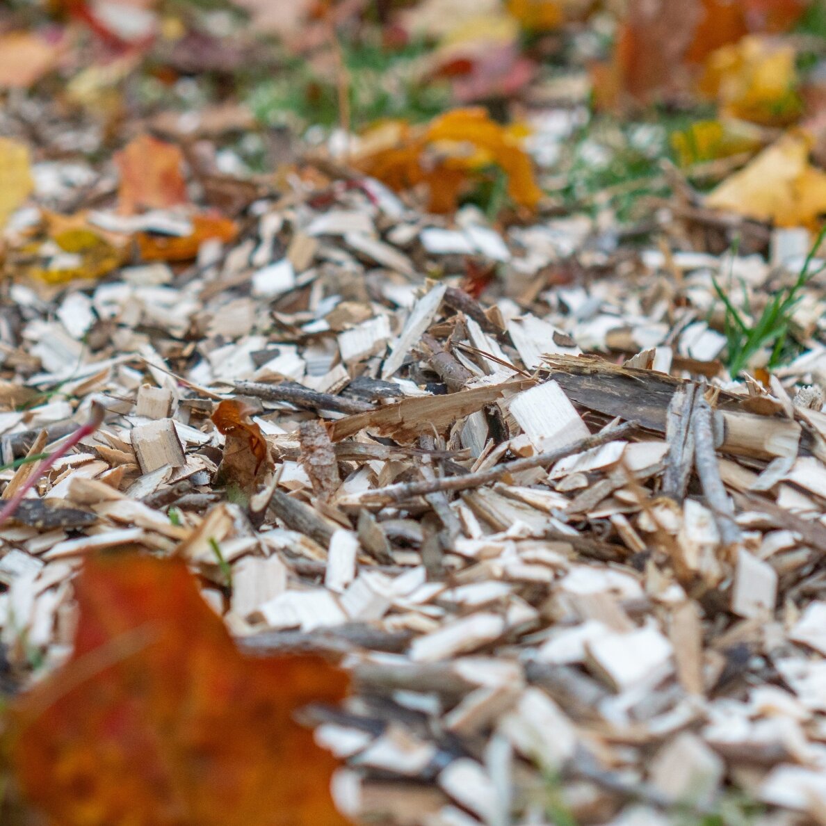 Šakų smulkintuvas BlueBird SHL1200