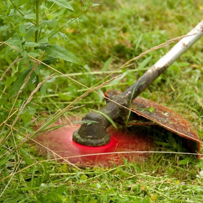 Universalus trišakis peilis krūmapjovei - 255mm/3mm - Image 4