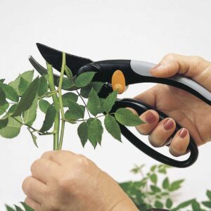 Fingerloop™ Sekatorius prasilenkiančiais ašmenimis su kilpa pirštams SP44