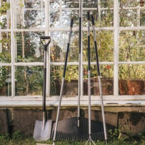 Garden Light purentuvas
