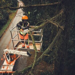 Akumuliatorinis pjūklas STIHL MSA 190.0 T (su juost. ir gr.)