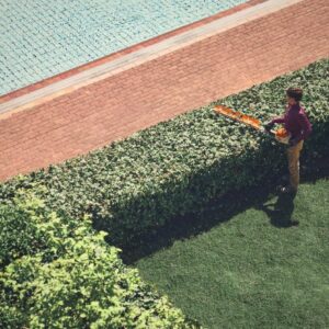Žirklės gyvatv. STIHL HSA 150.0 R 750 mm (be akum. ir krov.)
