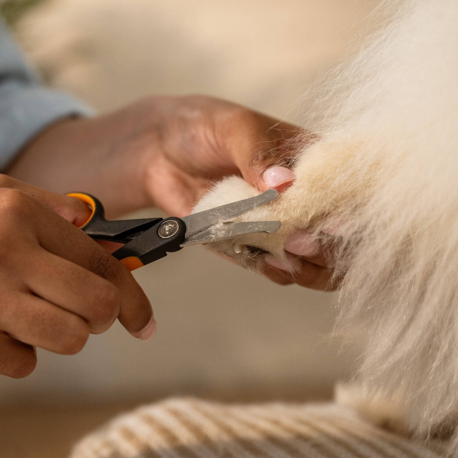 Pet Care žirklės apvalintais galiukais Pet Care žirklės apvalintais galiukais - Image 7