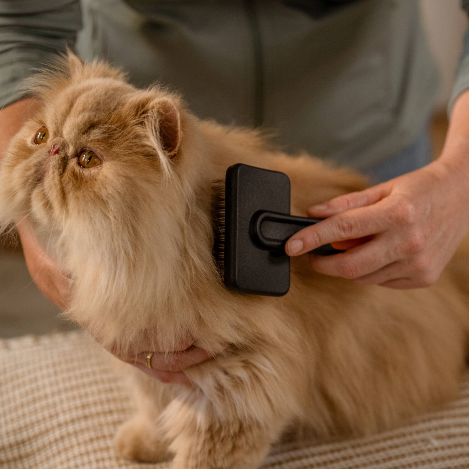 Pet Care šepetys ilgo plauko kailiui Pet Care šepetys ilgo plauko kailiui - Image 7