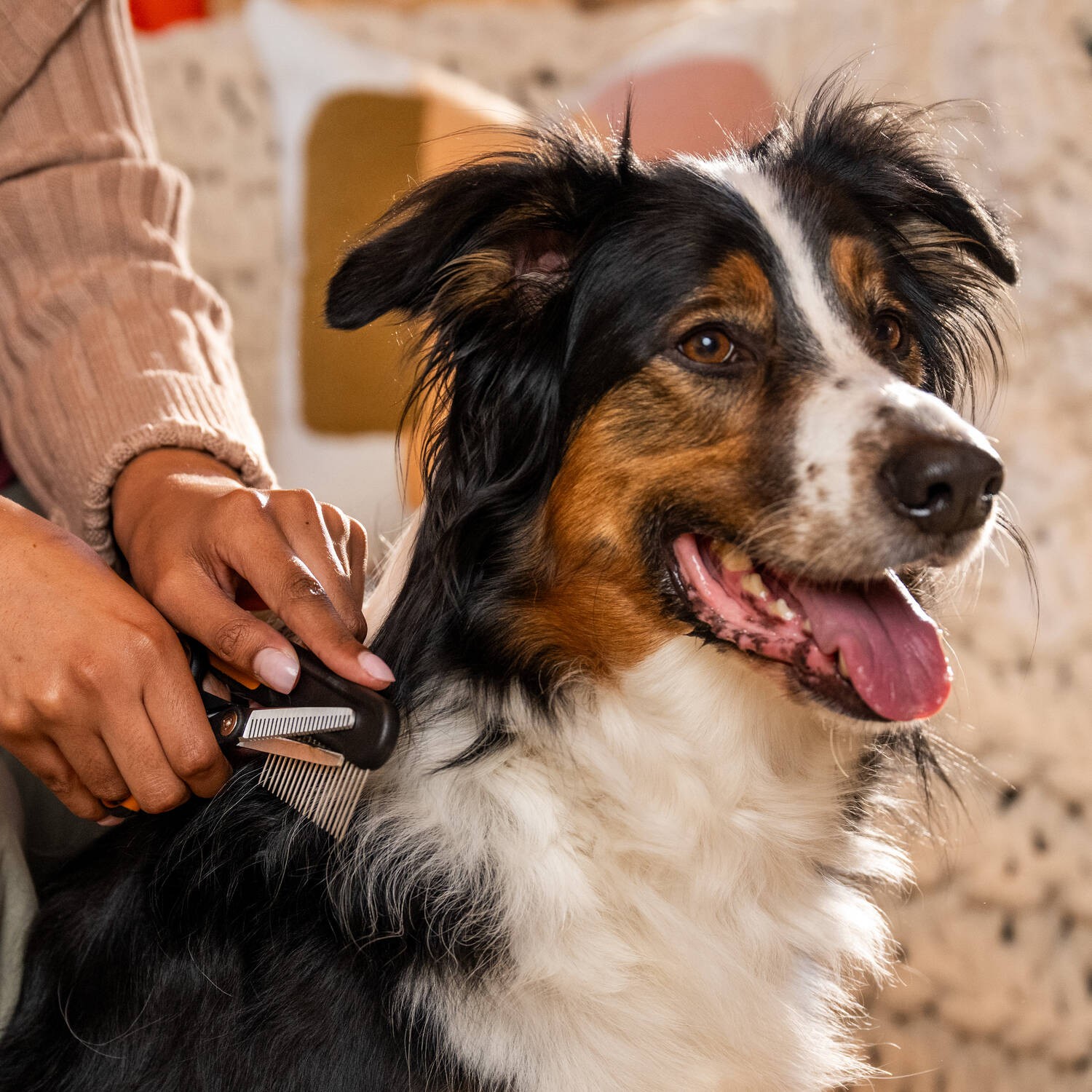 Pet Care žirklės filiravimui Pet Care žirklės filiravimui - Image 6
