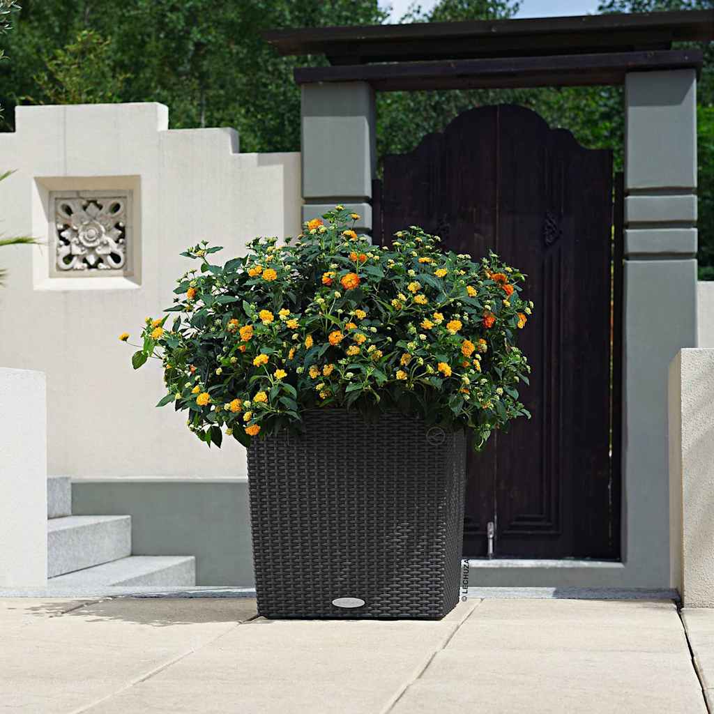 LECHUZA Lovelis CUBE Cottage 40 ALL-IN-ONE, granito spalvos LECHUZA Lovelis CUBE Cottage 40 ALL-IN-ONE, granito spalvos - Image 7