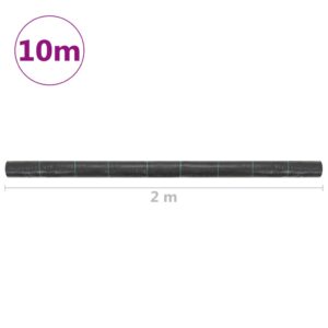 Agroplėvelė nuo piktžolių ir šaknų, juoda, 2x10 m, PP