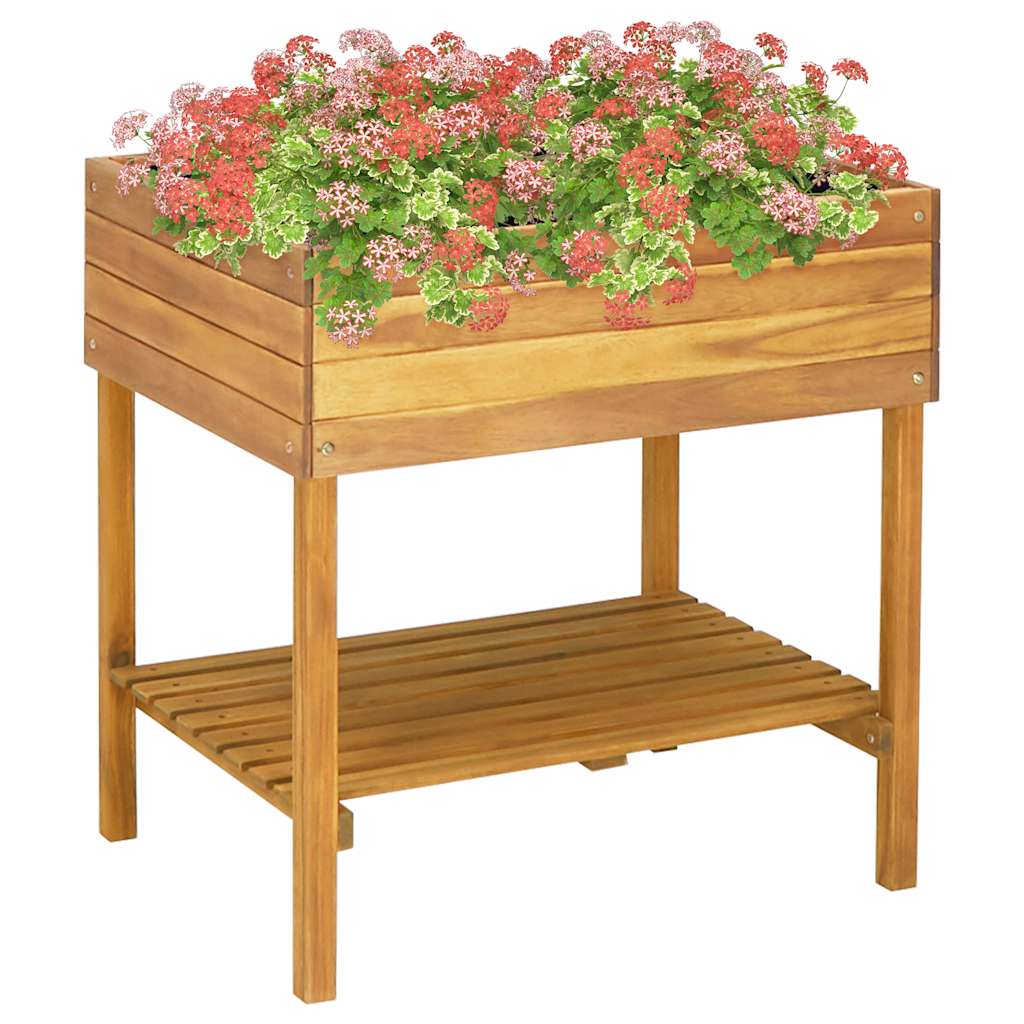 Aukštas sodo lovelis, 78,5×58,5×78,5cm, akacijos masyvas Aukštas sodo lovelis, 78,5x58,5x78,5cm, akacijos masyvas - Image 2
