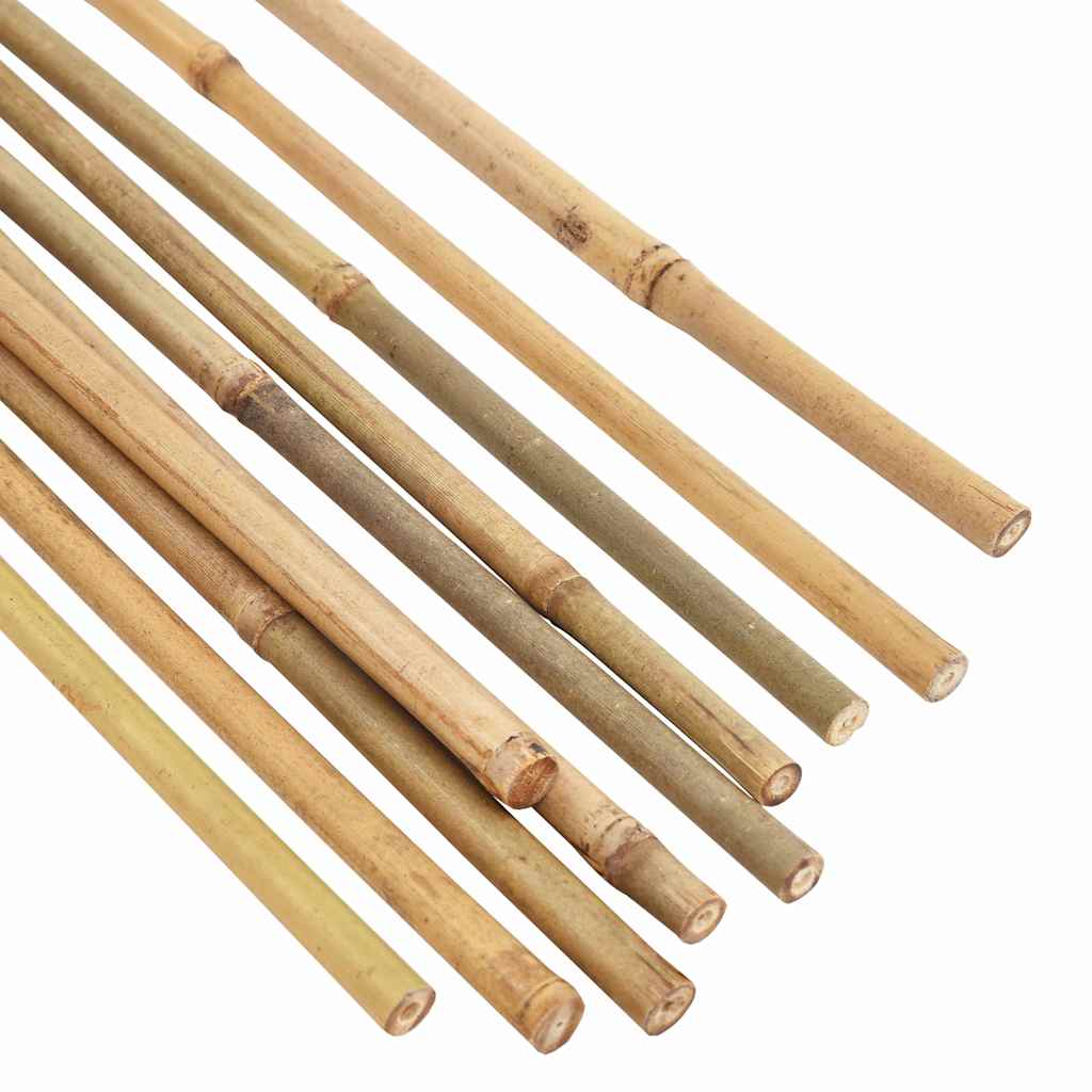 Bambukiniai sodo kuoliukai, 50vnt., 150cm Bambukiniai sodo kuoliukai, 50vnt., 150cm - Image 3