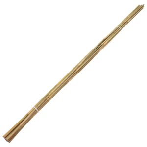 Bambukiniai sodo kuoliukai, 50vnt., 150cm