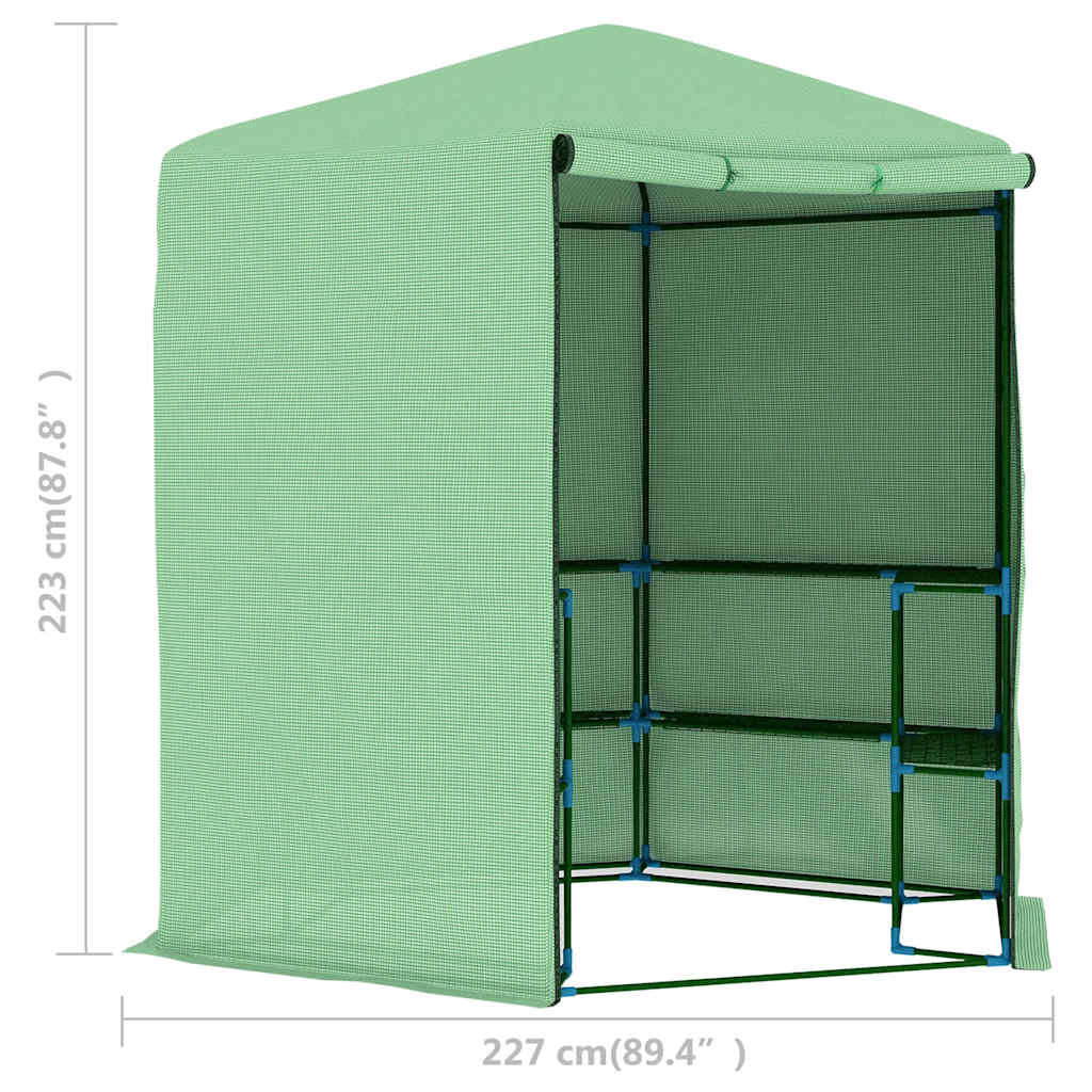Šiltnamis su lentynomis, 227x223cm, plienas Šiltnamis su lentynomis, 227x223cm, plienas - Image 10
