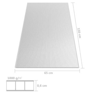 Polikarbonato lakštai, 2vnt., 150x65cm, 6mm
