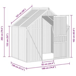 Šiltnamis, antracito spalvos, aliuminis, 2,47m²