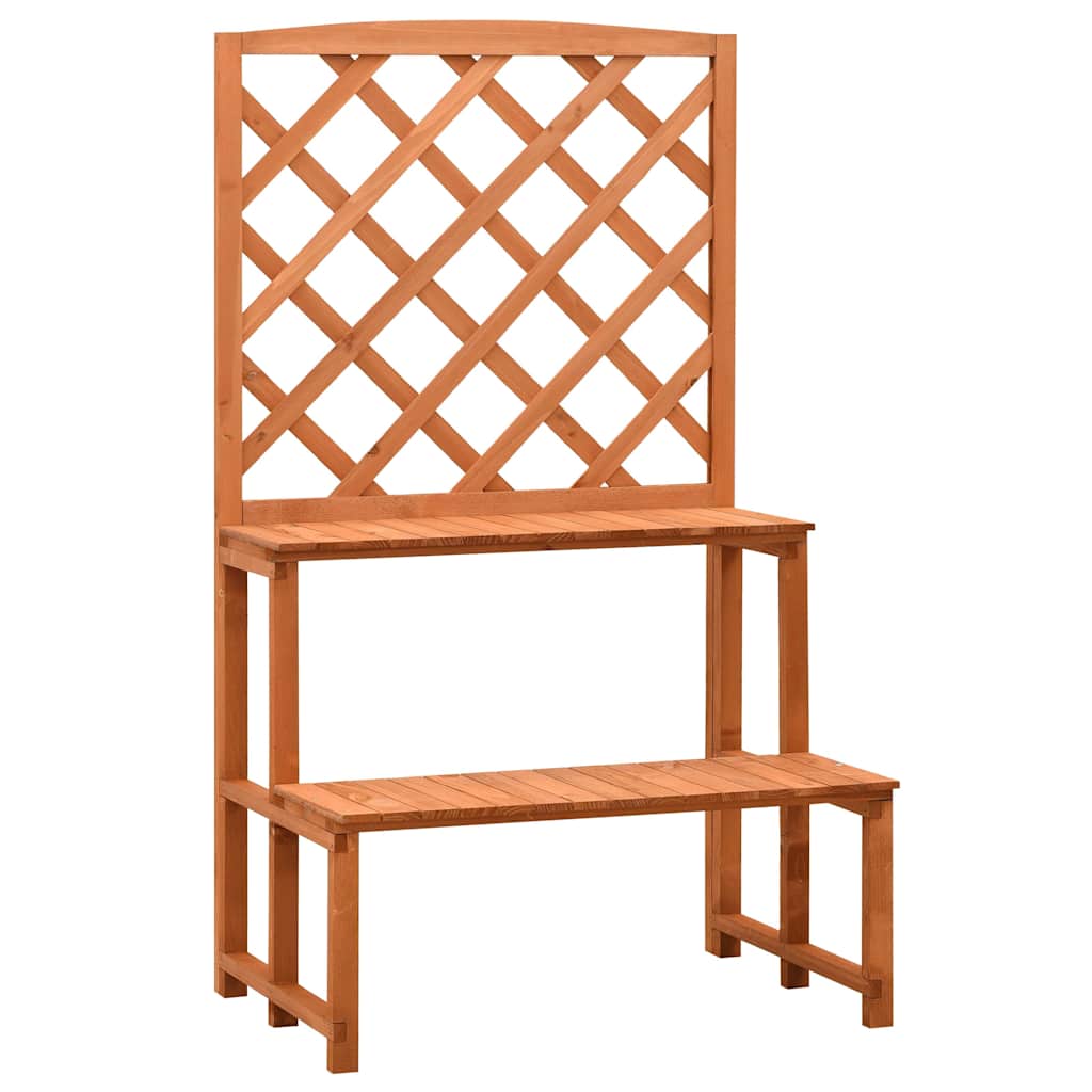 Stovas augalams su treliažu, oranžinis, 70x42x120cm, eglė Stovas augalams su treliažu, oranžinis, 70x42x120cm, eglė - Image 2