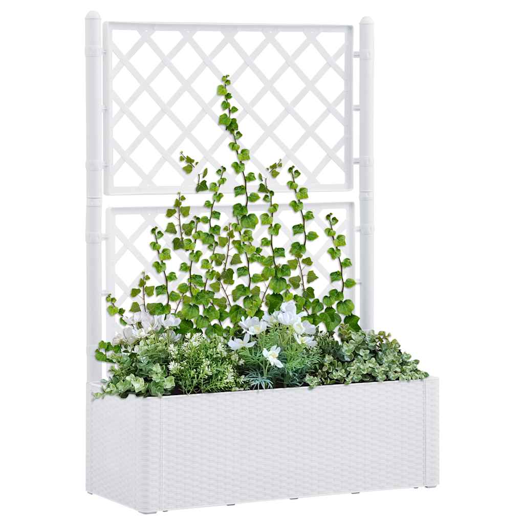 Lovelis su treliažu ir savaiminio laistymo sistema, baltas Lovelis su treliažu ir savaiminio laistymo sistema, baltas - Image 2