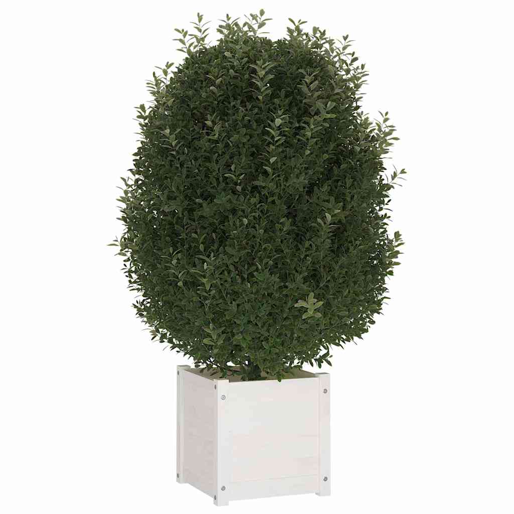 Sodo loveliai, 2vnt., balti, 40x40x40cm, pušies masyvas Sodo loveliai, 2vnt., balti, 40x40x40cm, pušies masyvas - Image 4