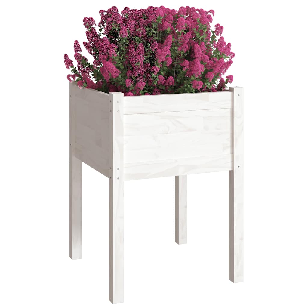 Sodo lovelis, baltas, 50x50x70cm, pušies medienos masyvas Sodo lovelis, baltas, 50x50x70cm, pušies medienos masyvas - Image 3