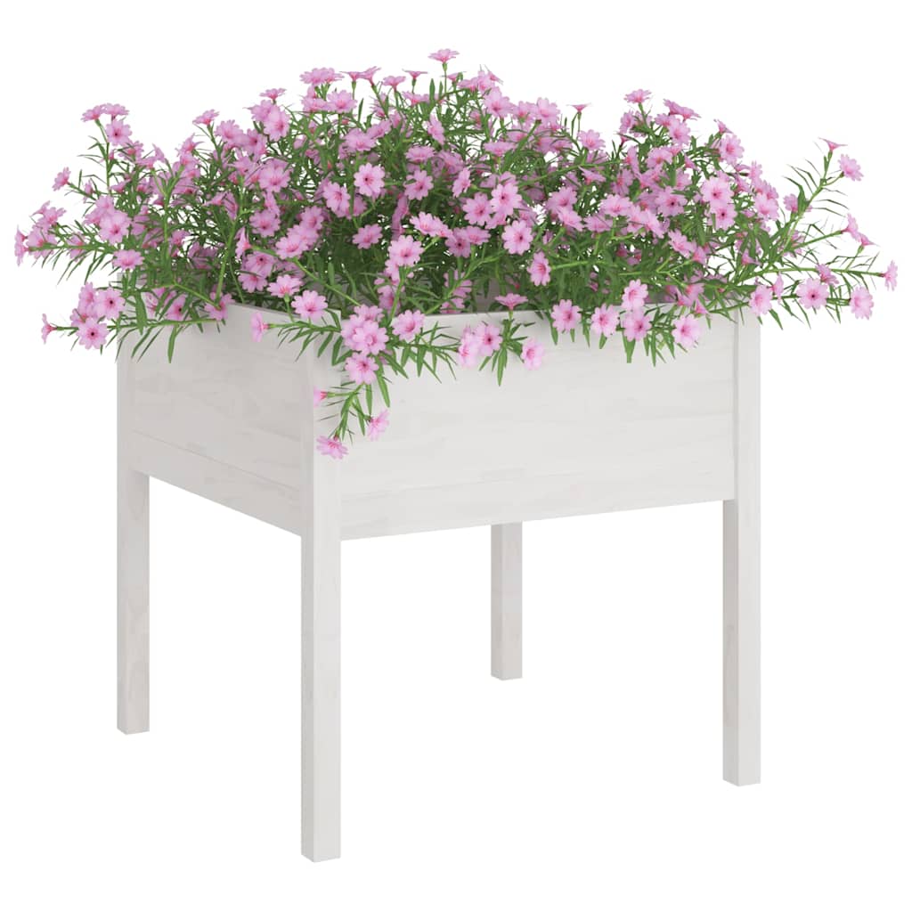 Sodo loveliai, 2vnt., balti, 70x70x70cm, pušies masyvas Sodo loveliai, 2vnt., balti, 70x70x70cm, pušies masyvas - Image 3