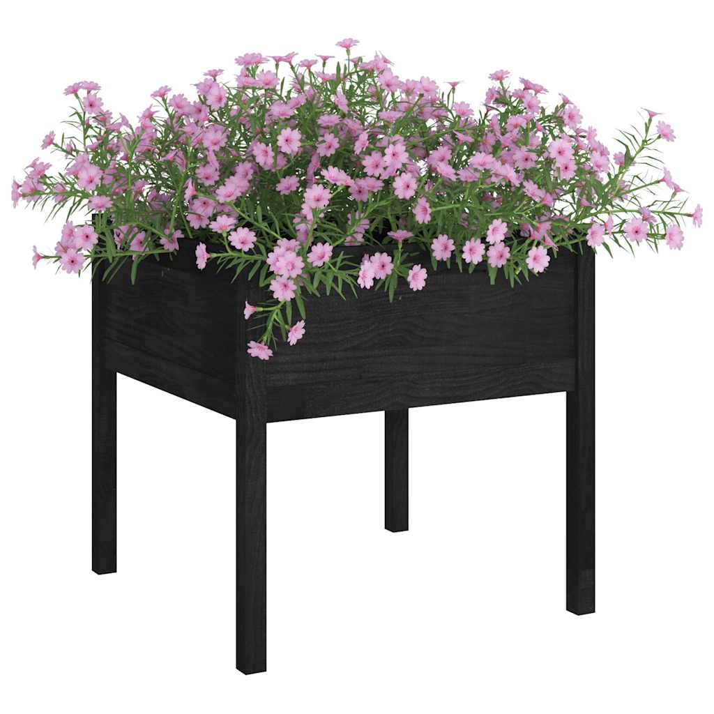 Sodo loveliai, 2vnt., juodi, 70x70x70cm, pušies masyvas Sodo loveliai, 2vnt., juodi, 70x70x70cm, pušies masyvas - Image 3