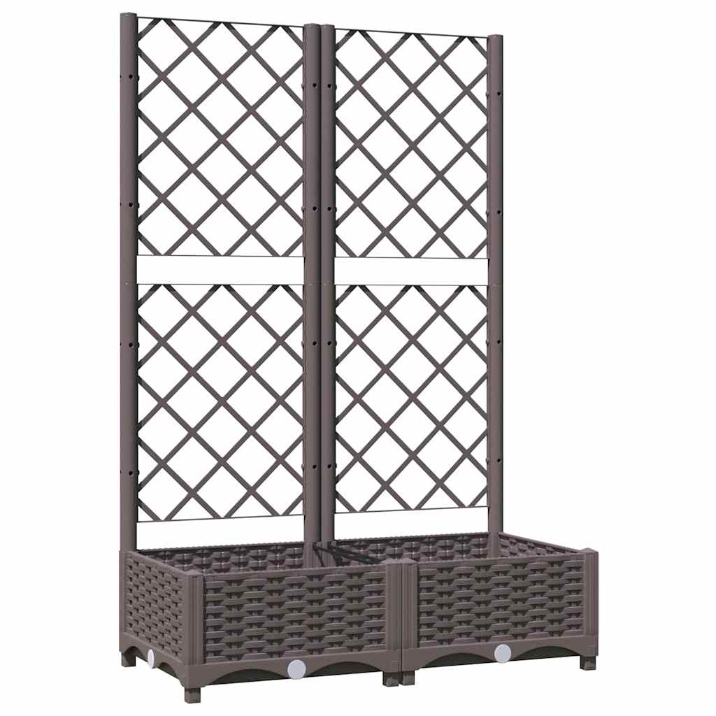 Sodo lovelis su treliažu, rudos spalvos, 80x40x121,5cm, PP Sodo lovelis su treliažu, rudos spalvos, 80x40x121,5cm, PP - Image 3