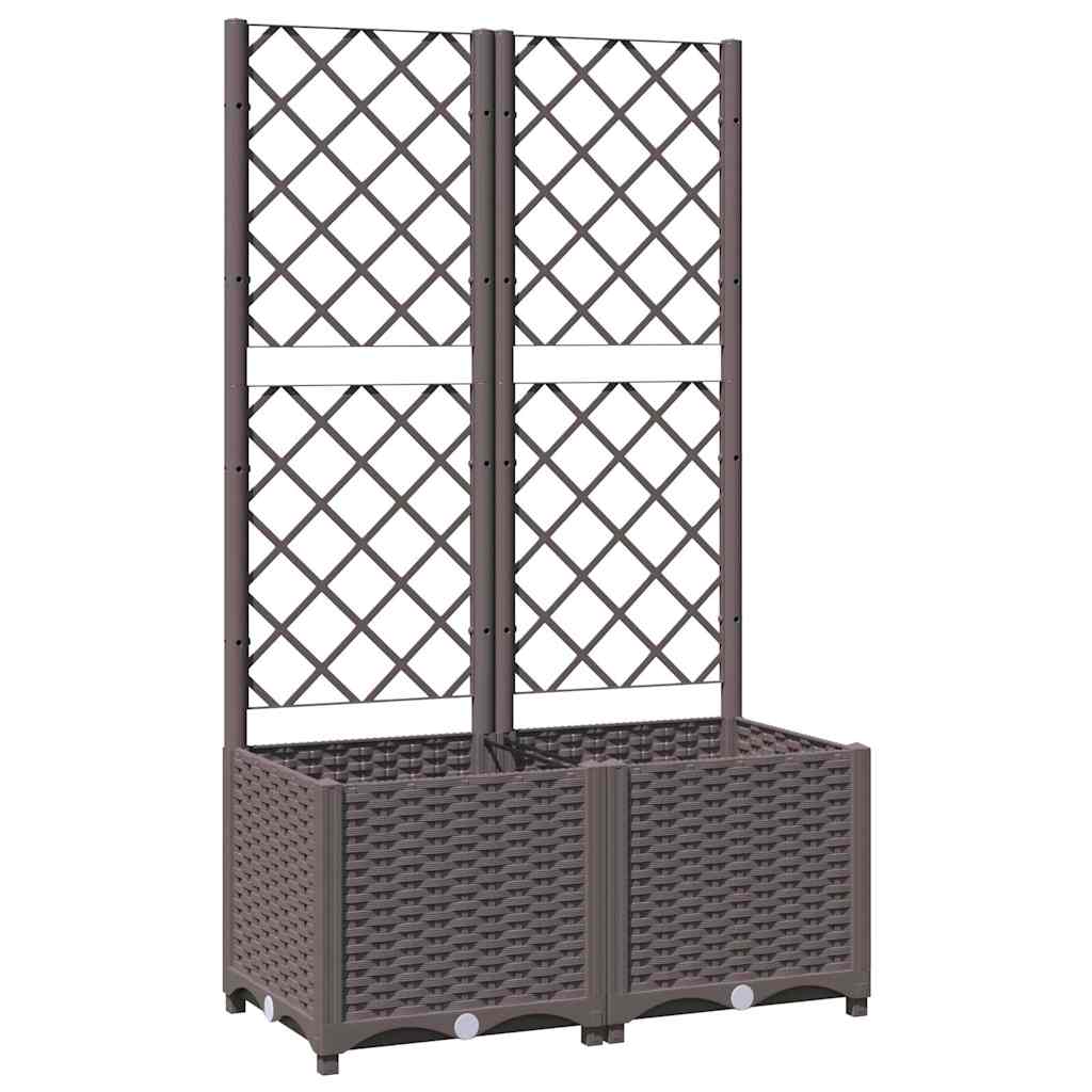 Sodo lovelis su treliažu, rudos spalvos, 80x40x136cm, PP Sodo lovelis su treliažu, rudos spalvos, 80x40x136cm, PP - Image 3