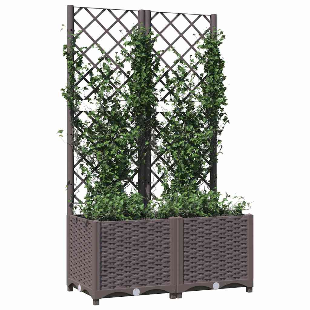 Sodo lovelis su treliažu, rudos spalvos, 80x40x136cm, PP Sodo lovelis su treliažu, rudos spalvos, 80x40x136cm, PP - Image 4
