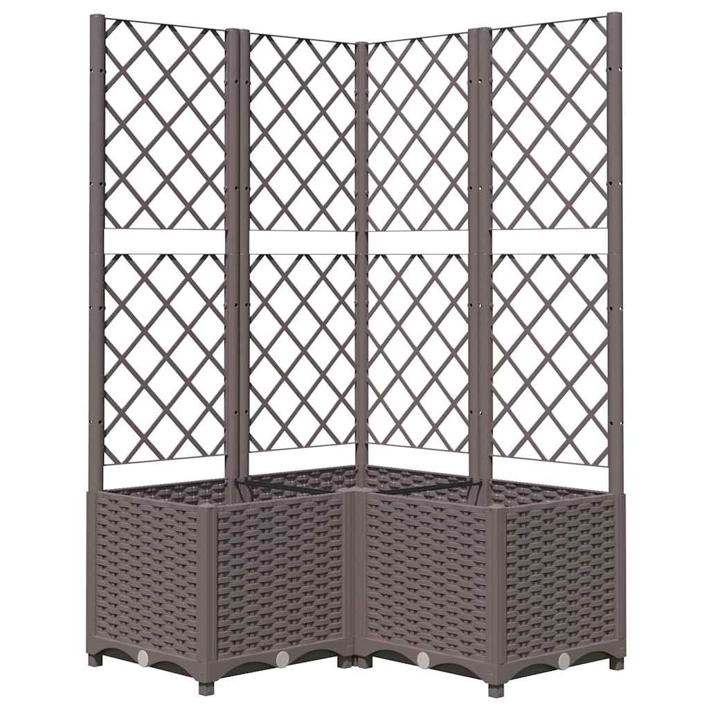Sodo lovelis su treliažu, rudos spalvos, 80x80x136cm, PP Sodo lovelis su treliažu, rudos spalvos, 80x80x136cm, PP - Image 3