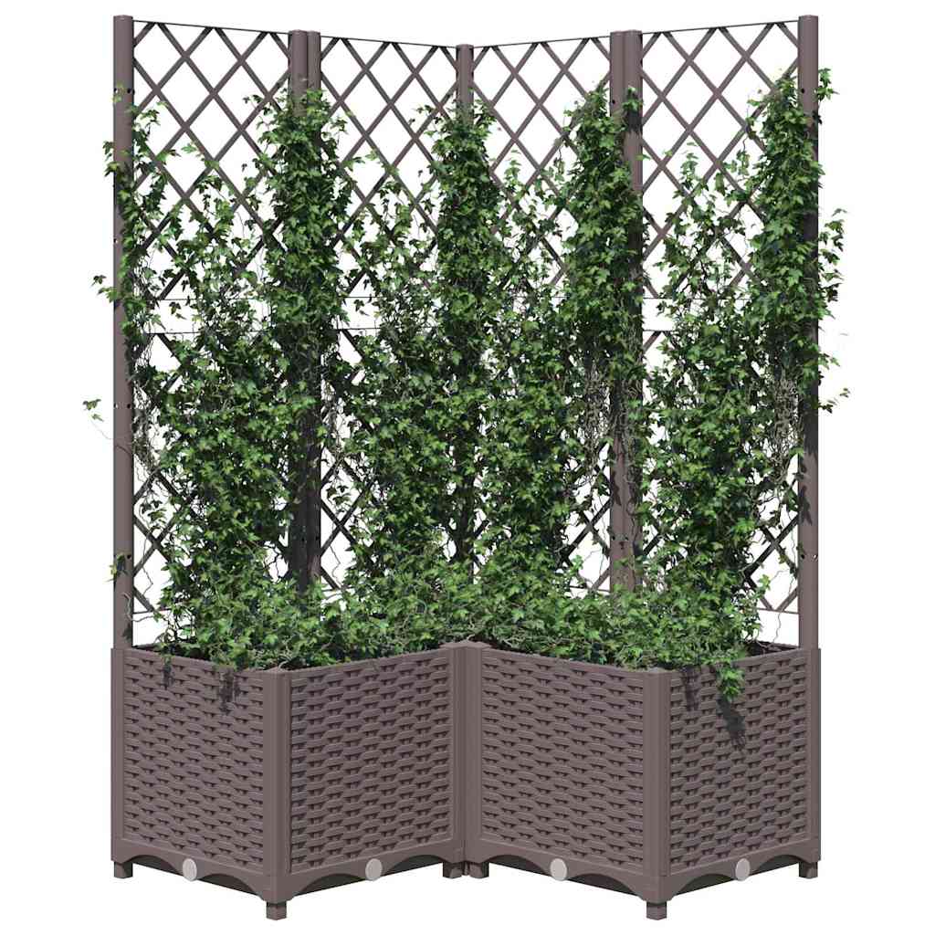 Sodo lovelis su treliažu, rudos spalvos, 80x80x136cm, PP Sodo lovelis su treliažu, rudos spalvos, 80x80x136cm, PP - Image 4