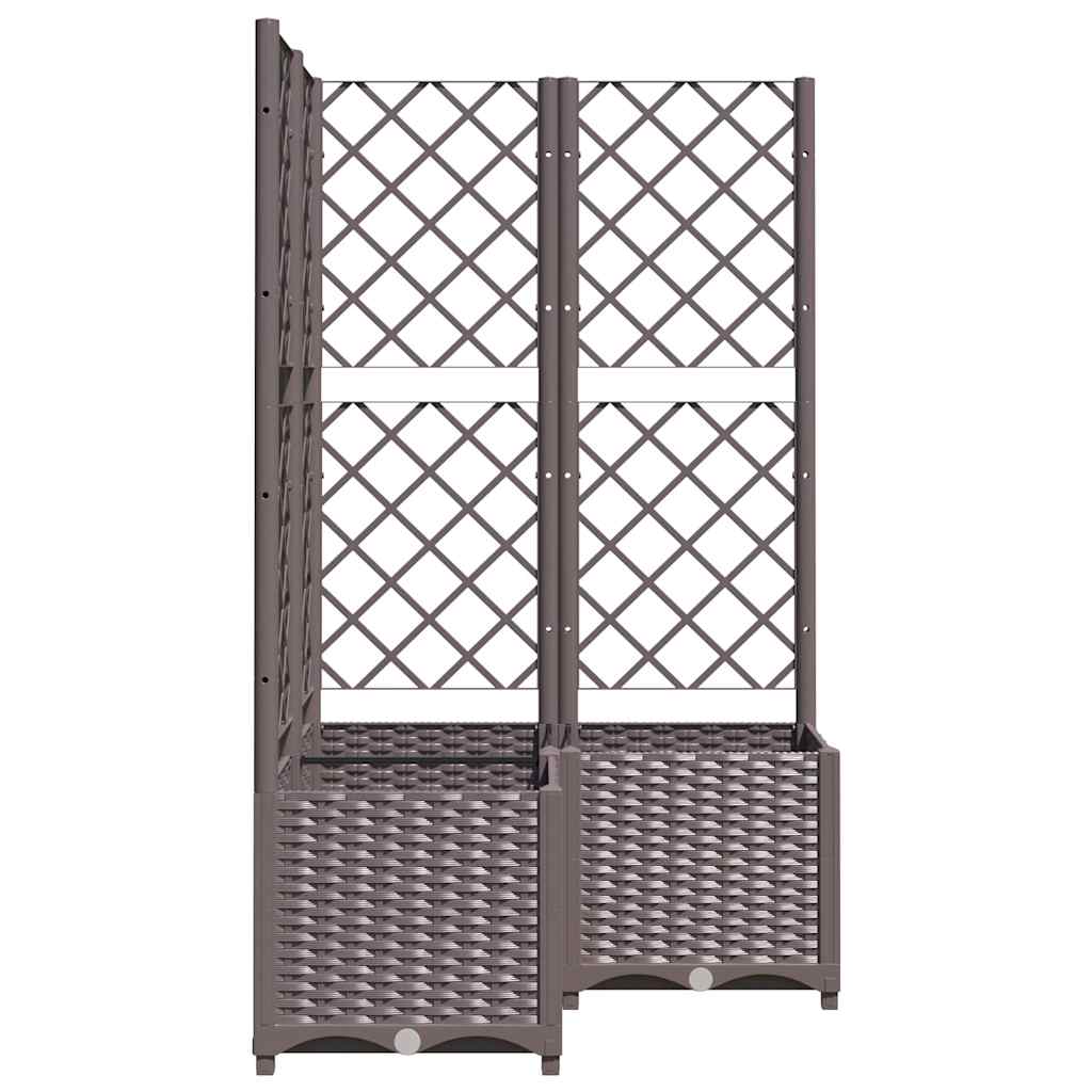Sodo lovelis su treliažu, rudos spalvos, 80x80x136cm, PP Sodo lovelis su treliažu, rudos spalvos, 80x80x136cm, PP - Image 6