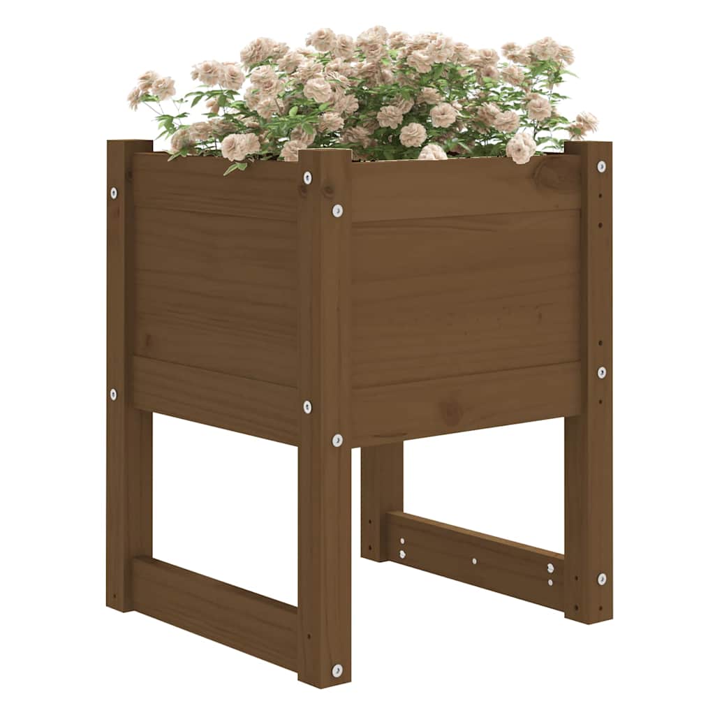 Lovelis, medaus rudas, 40x40x52,5cm, pušies medienos masyvas Lovelis, medaus rudas, 40x40x52,5cm, pušies medienos masyvas - Image 3