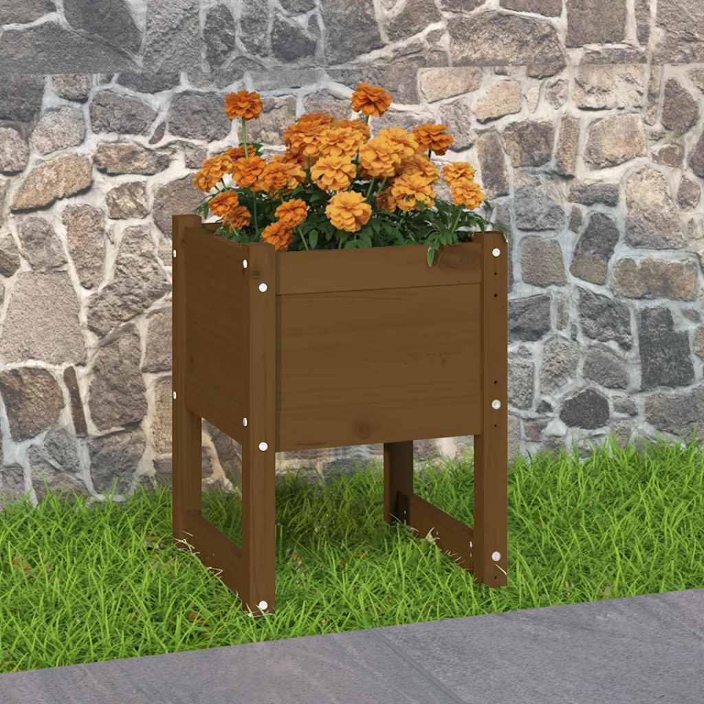 Lovelis, medaus rudas, 40x40x52,5cm, pušies medienos masyvas Lovelis, medaus rudas, 40x40x52,5cm, pušies medienos masyvas - Image 2
