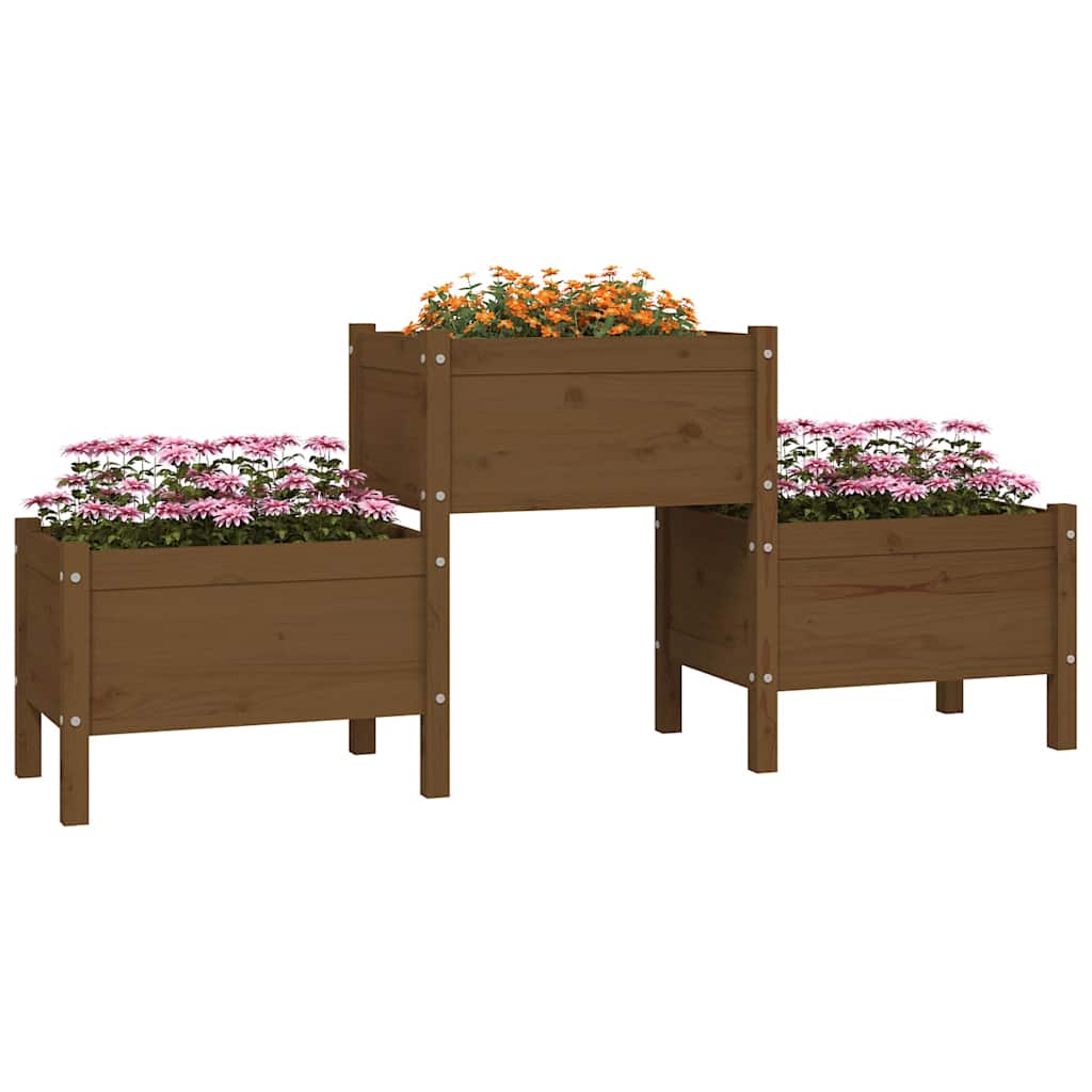Lovelis, medaus rudas, 178,5x44x75cm, pušies medienos masyvas Lovelis, medaus rudas, 178,5x44x75cm, pušies medienos masyvas - Image 3