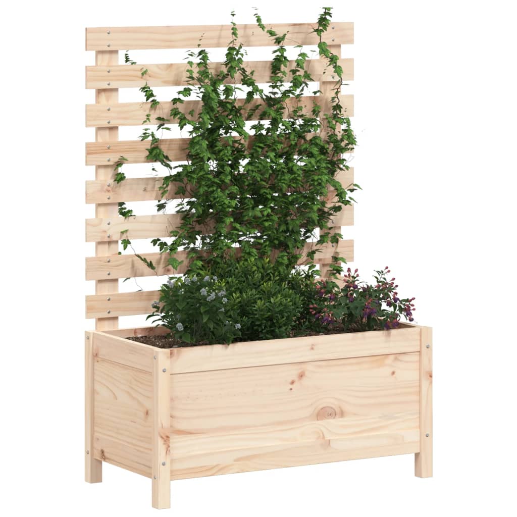 Sodo lovelis su stovu, 79×39,5x114cm, pušies medienos masyvas Sodo lovelis su stovu, 79x39,5x114cm, pušies medienos masyvas - Image 3