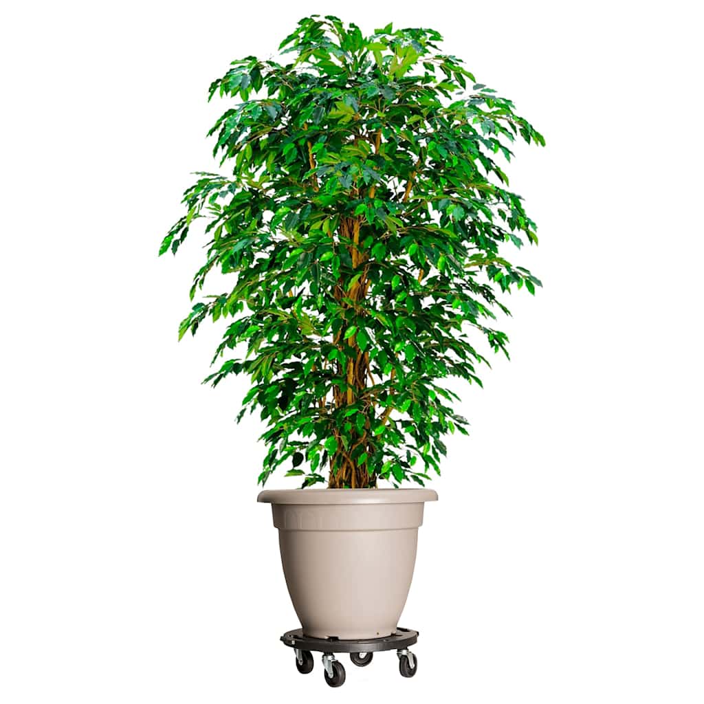Augalų padėklai su ratukais, 3vnt., juodi, 40cm, 275kg Augalų padėklai su ratukais, 3vnt., juodi, 40cm, 275kg - Image 2