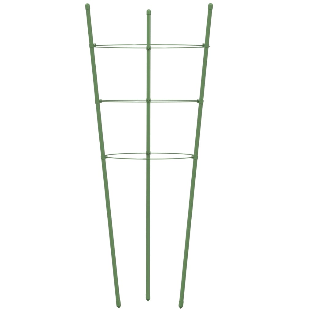 Sodo augalų atramos su 3 žiedais, 5vnt., žalios, 60cm, plienas Sodo augalų atramos su 3 žiedais, 5vnt., žalios, 60cm, plienas - Image 5