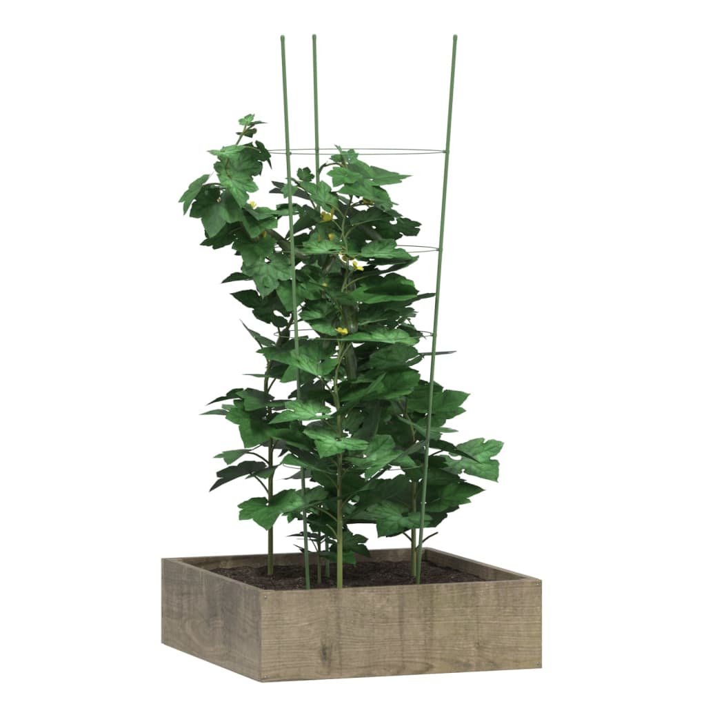 Sodo augalų atramos su 4 žiedais, 5vnt., žalios, 90cm, plienas Sodo augalų atramos su 4 žiedais, 5vnt., žalios, 90cm, plienas - Image 3