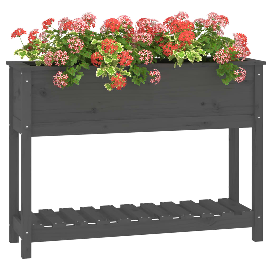 Lovelis su lentyna, pilkas, 111,5×34,5x81cm, pušies masyvas Lovelis su lentyna, pilkas, 111,5x34,5x81cm, pušies masyvas - Image 4