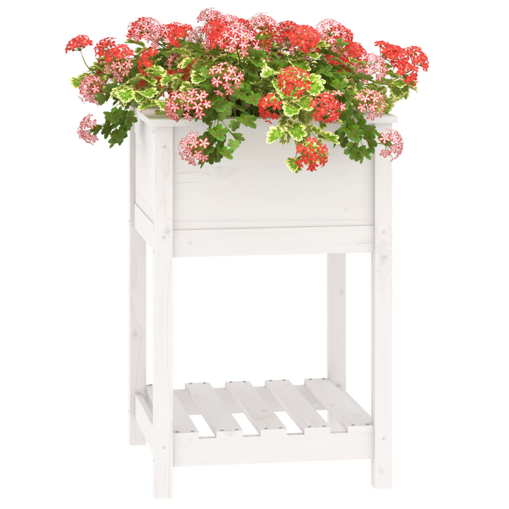 Lovelis su lentyna, baltas, 54x54x81cm, pušies medienos masyvas Lovelis su lentyna, baltas, 54x54x81cm, pušies medienos masyvas - Image 4