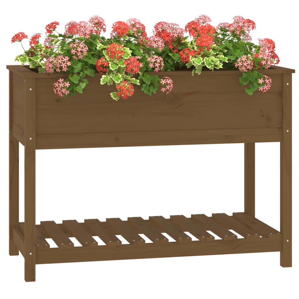 Lovelis su lentyna, medaus rudas, 111,5x54x81cm, pušies masyvas Lovelis su lentyna, medaus rudas, 111,5x54x81cm, pušies masyvas - Image 4