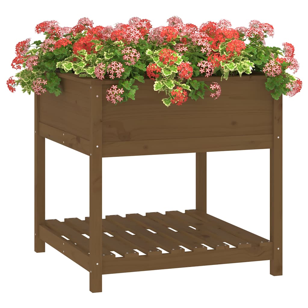 Lovelis su lentyna, medaus rudas, 82,5×82,5x81cm, pušis Lovelis su lentyna, medaus rudas, 82,5x82,5x81cm, pušis - Image 4