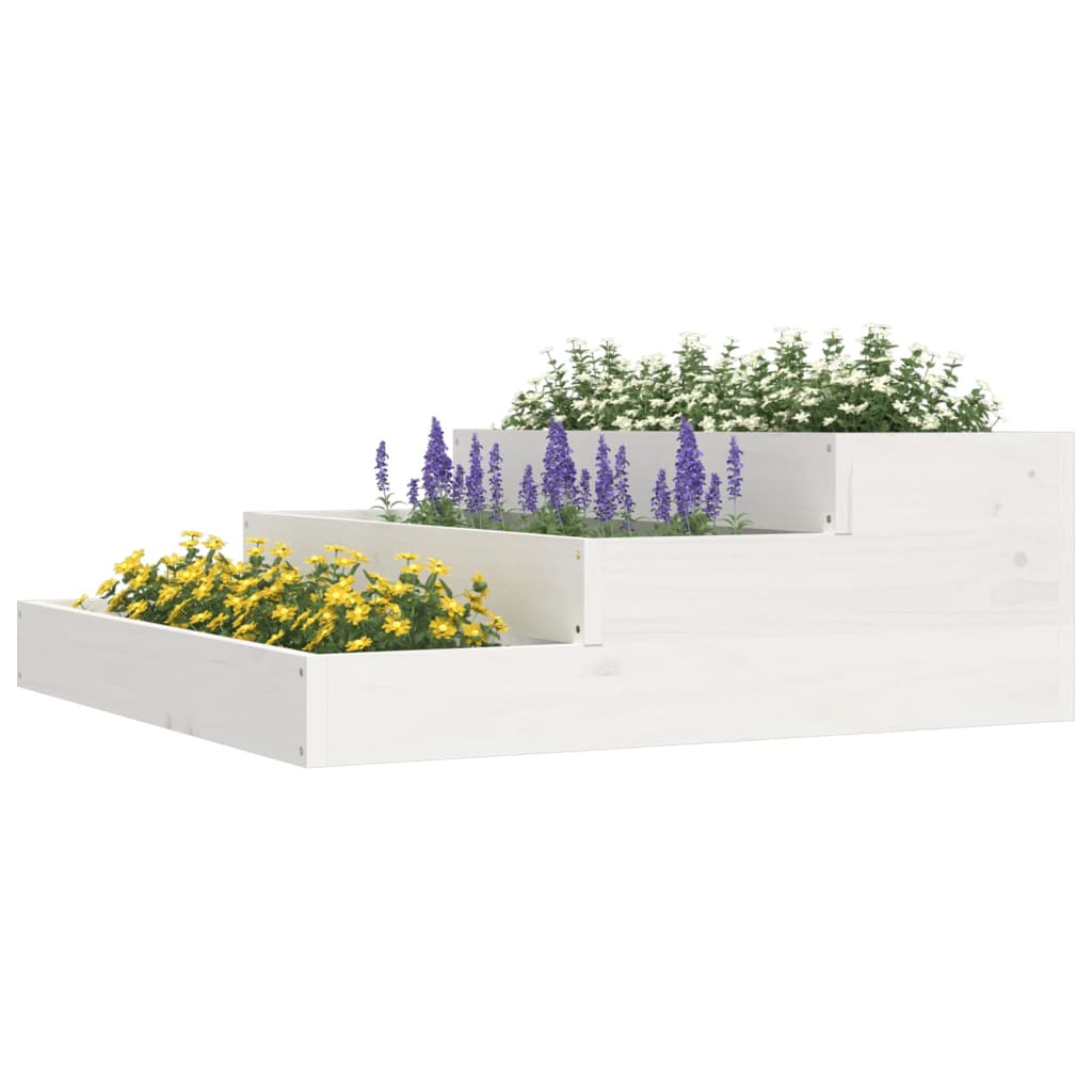 Lovelis, baltos spalvos, 78x78x27cm, pušies medienos masyvas Lovelis, baltos spalvos, 78x78x27cm, pušies medienos masyvas - Image 3