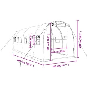 Šiltnamis su plieno rėmu, baltos spalvos, 6x2x2m, 12m²